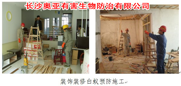 �����b���������ρ�A������