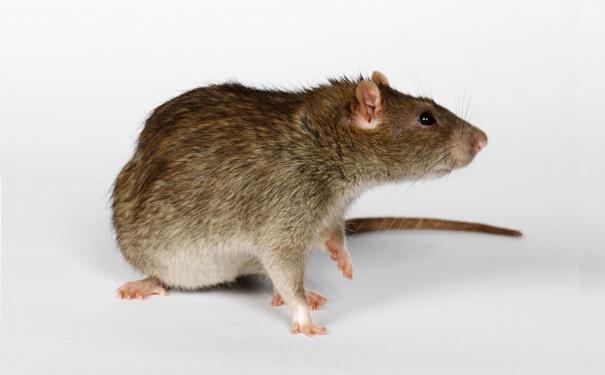 ��Μ�������������Щ������